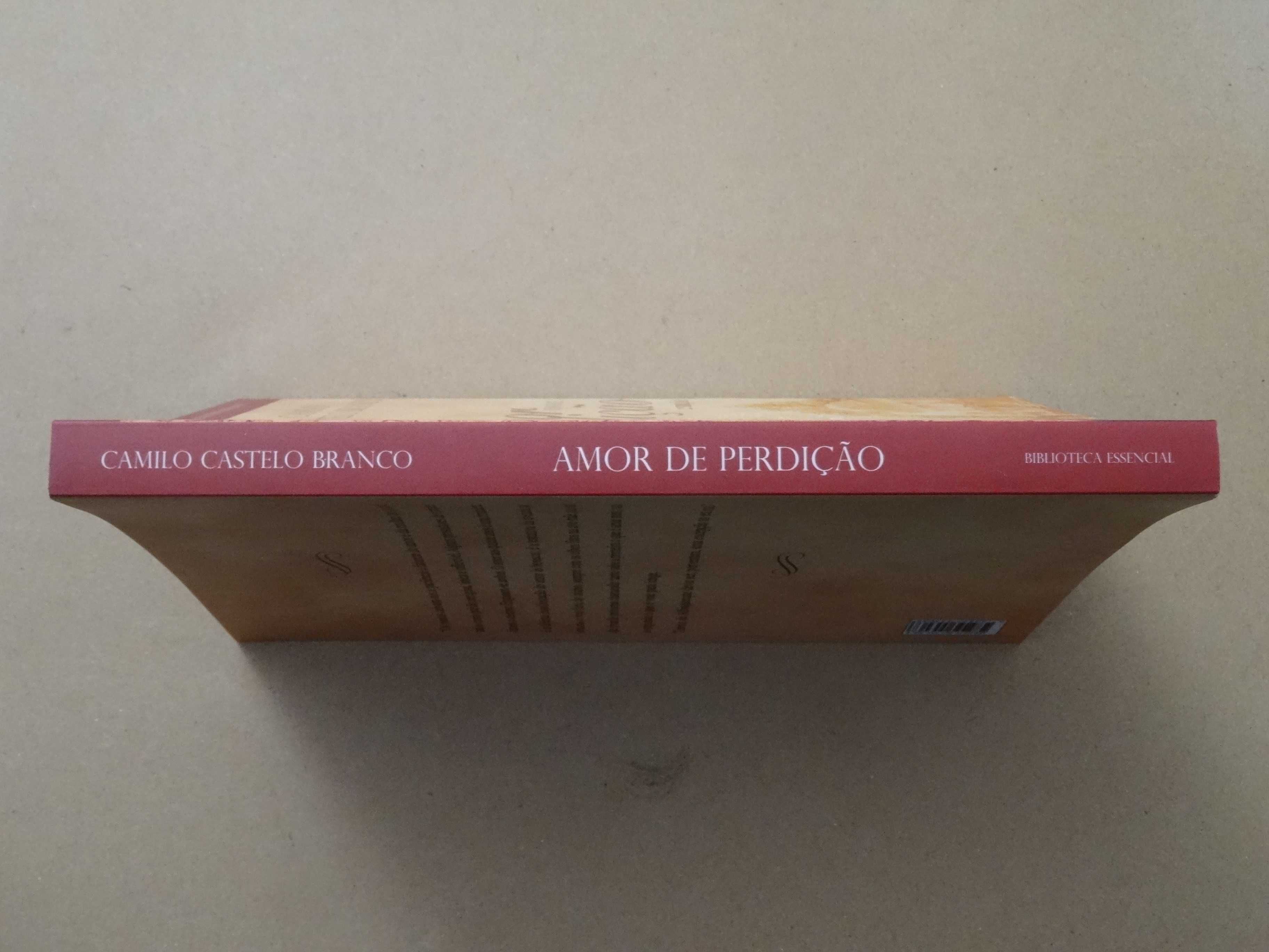 Amor de Perdição de Camilo Castelo Branco