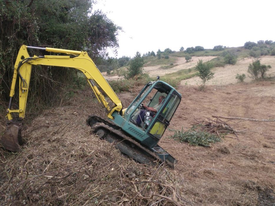 Limpeza de terrenos