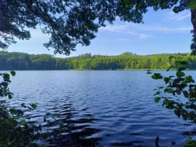 'Okna na las" wynajem mieszkań wakacyjnych