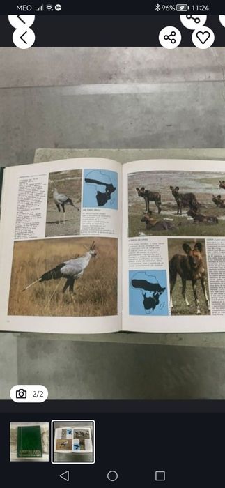 Coleção "A Aventura da Vida" - Volume 1 ao 12 + bomba de peito