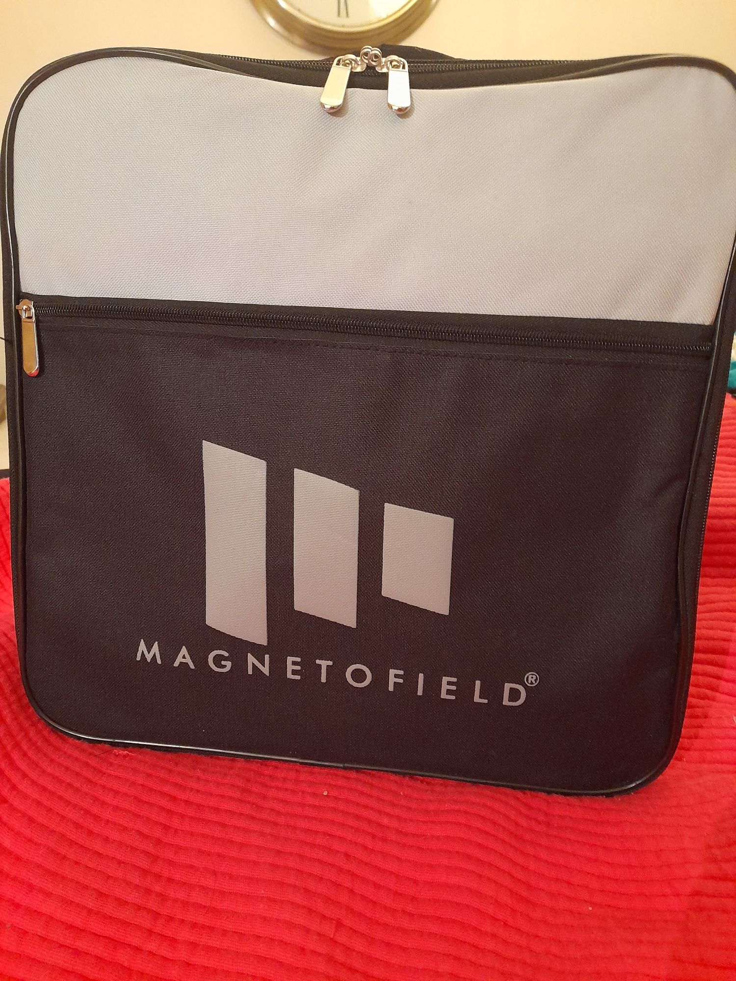 Magnetofiel fisioterapia