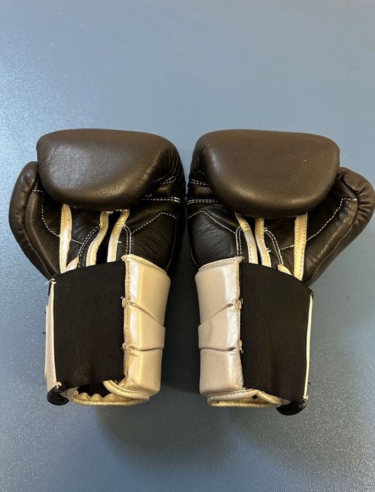 Боксерські рукавички Everlast 16, Title Platinum, MMA