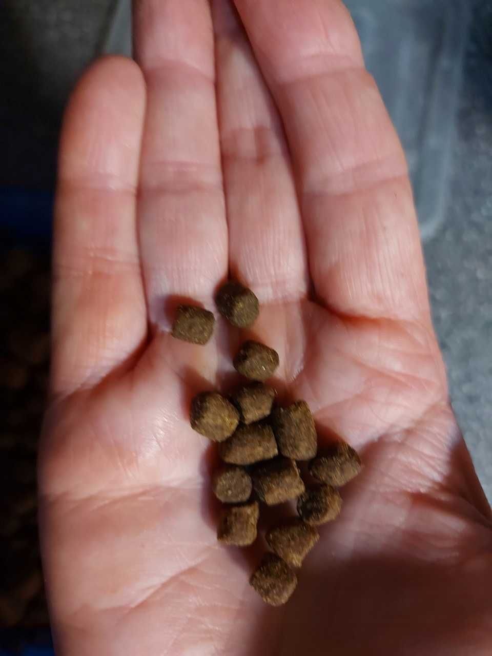 Bezzbożowa karma PERRO Kaczka z batatami - Zdrowie i Smak 3KG
