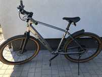 Rower elektryczny Trek Dual Sport+ 2