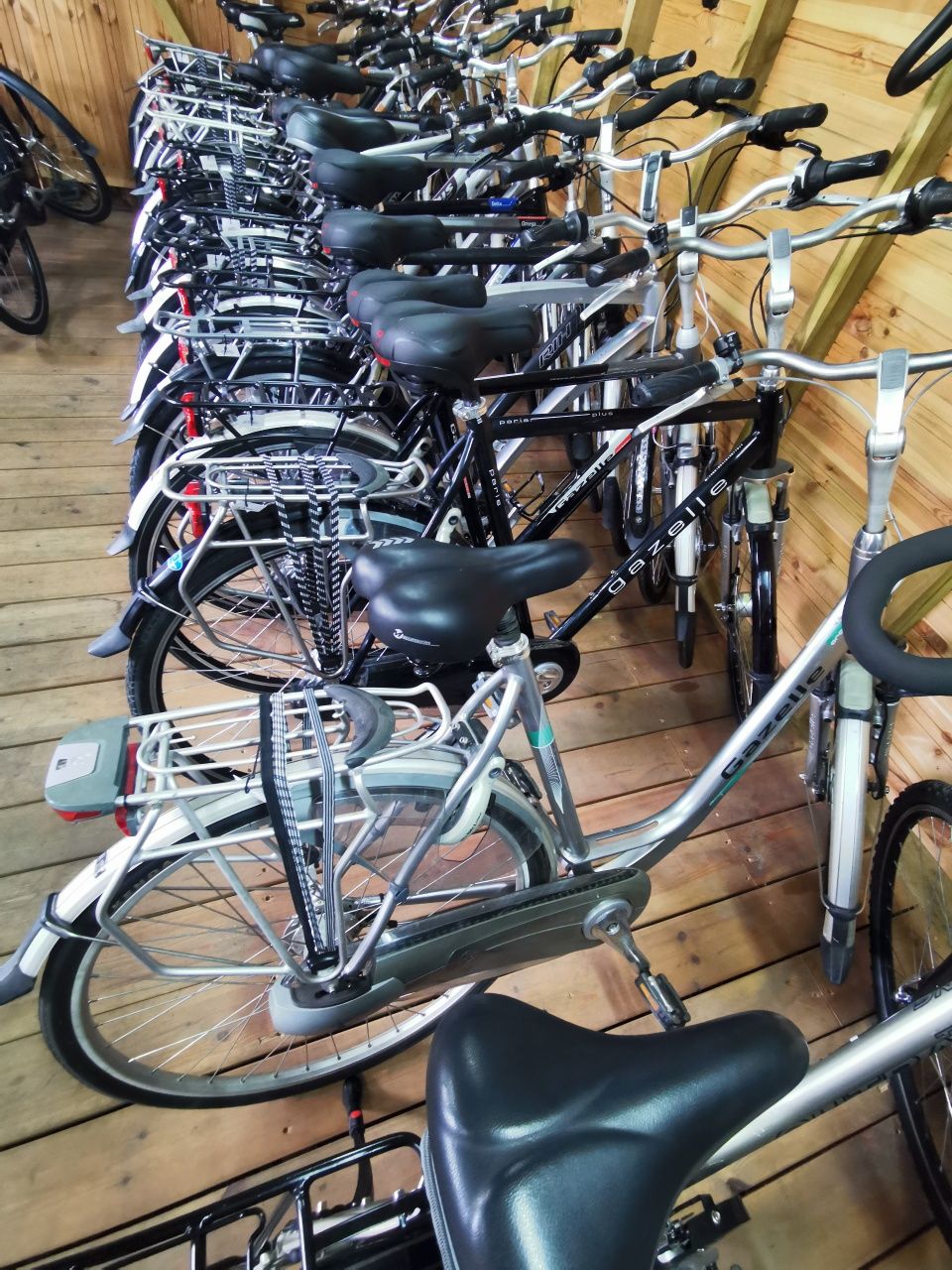 Gazelle Giant Batavus Koga Sparta