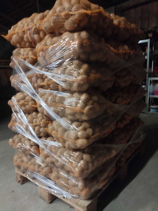 Ziemniaki jadalne duże [66gr/kg] [10zł/worek]