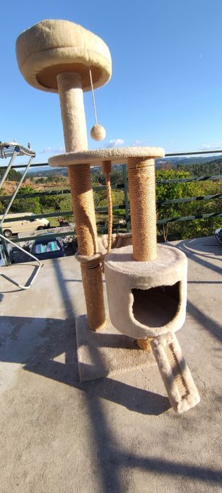 Arranhador gato -