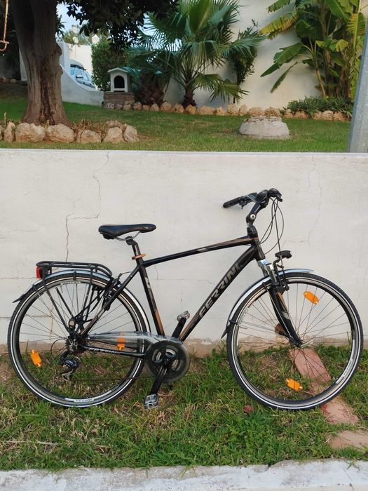 Bicicleta Ferrini