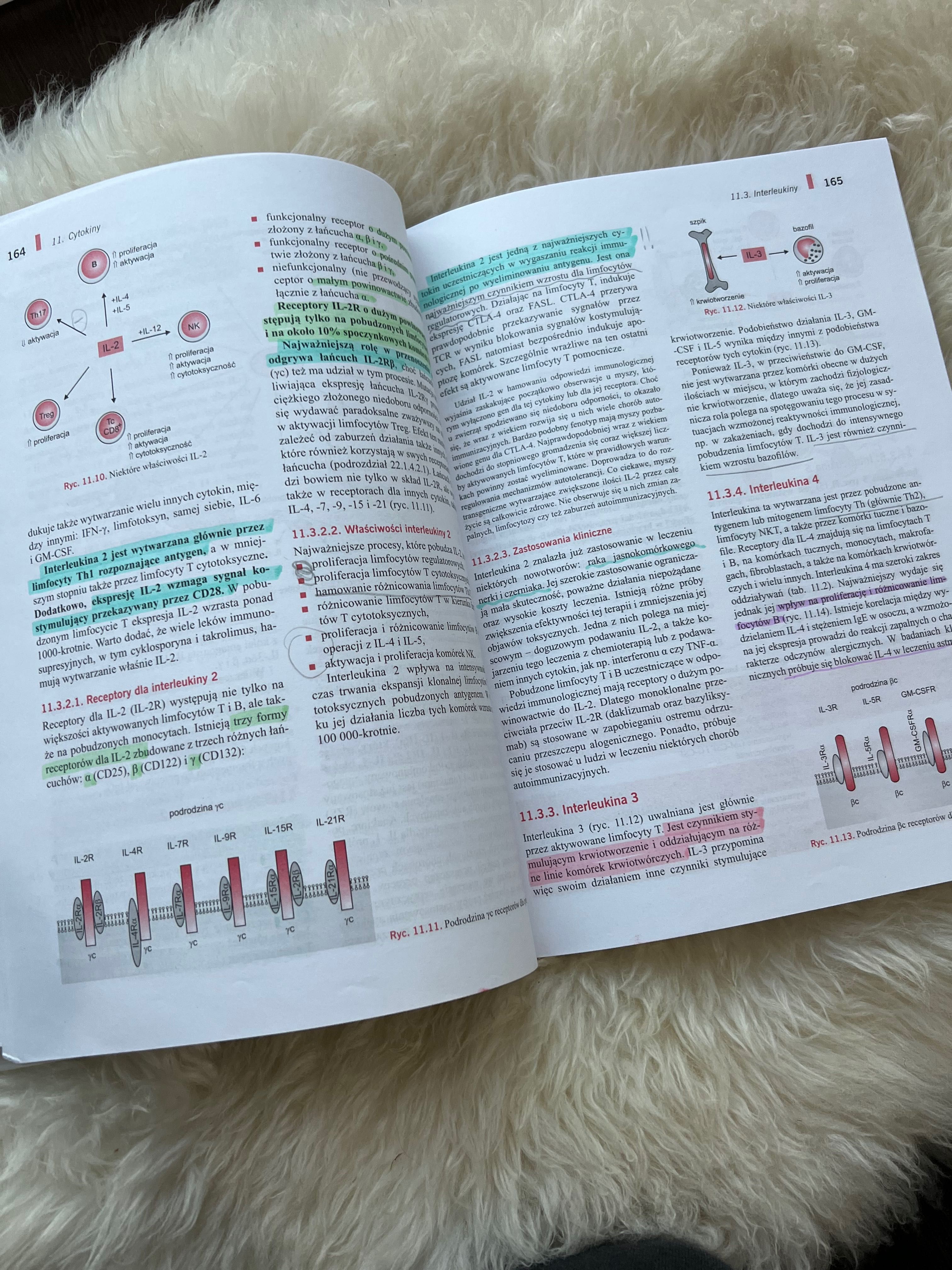 Immunologia Gołąb