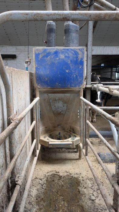 Stacja paszowa Delaval z systemem Alpro