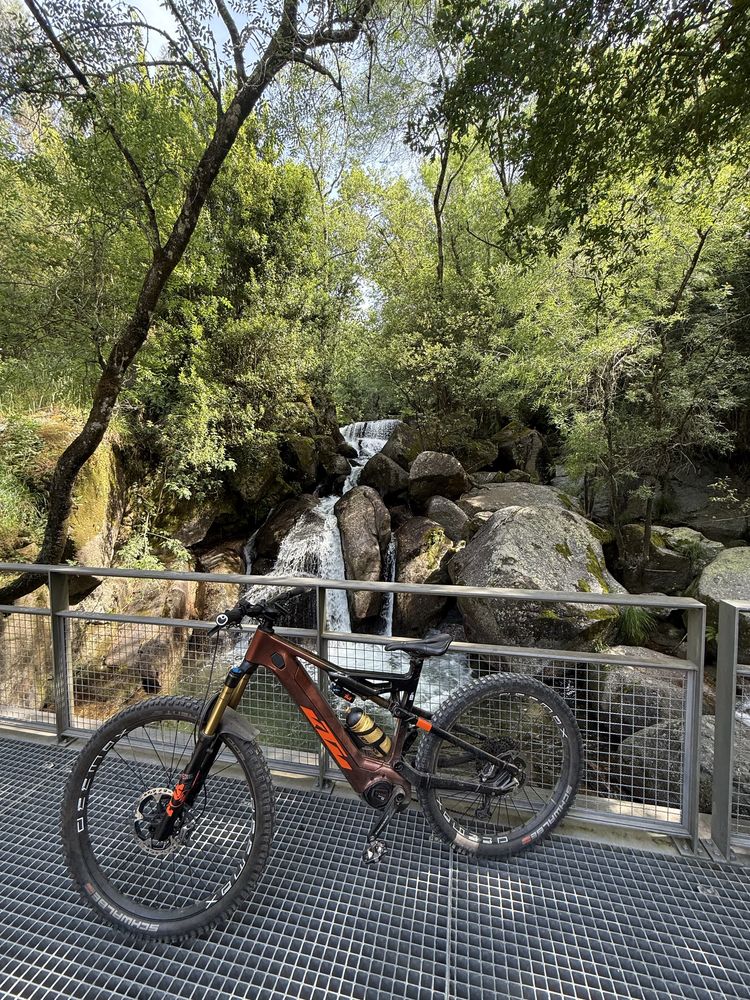 KTM Kapoho Prestige 2024 tam.L