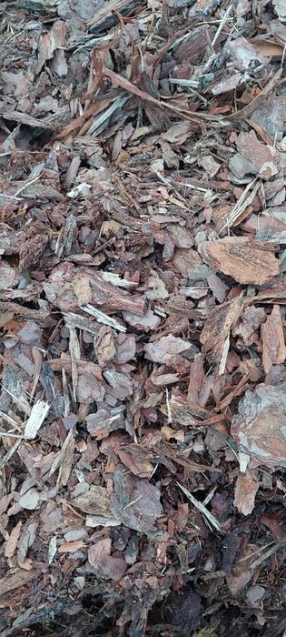 Kora sosnowa do ogrodu