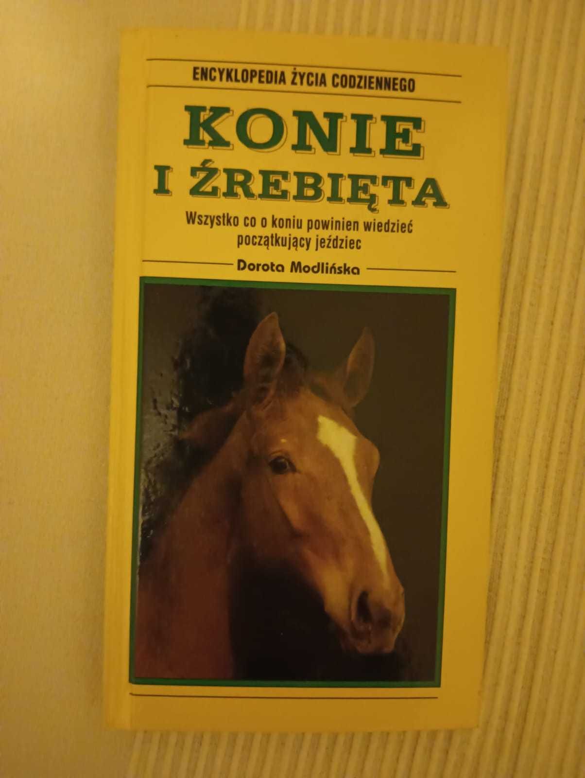 Konie i źrebięta - Modlińska Dorota