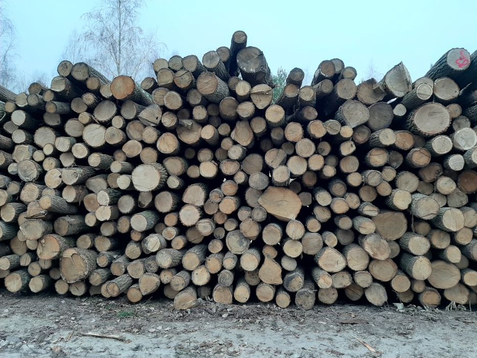 Drewno Kominkowe i Opałowe Suche i na bieżąco  Siedlce i Okolice