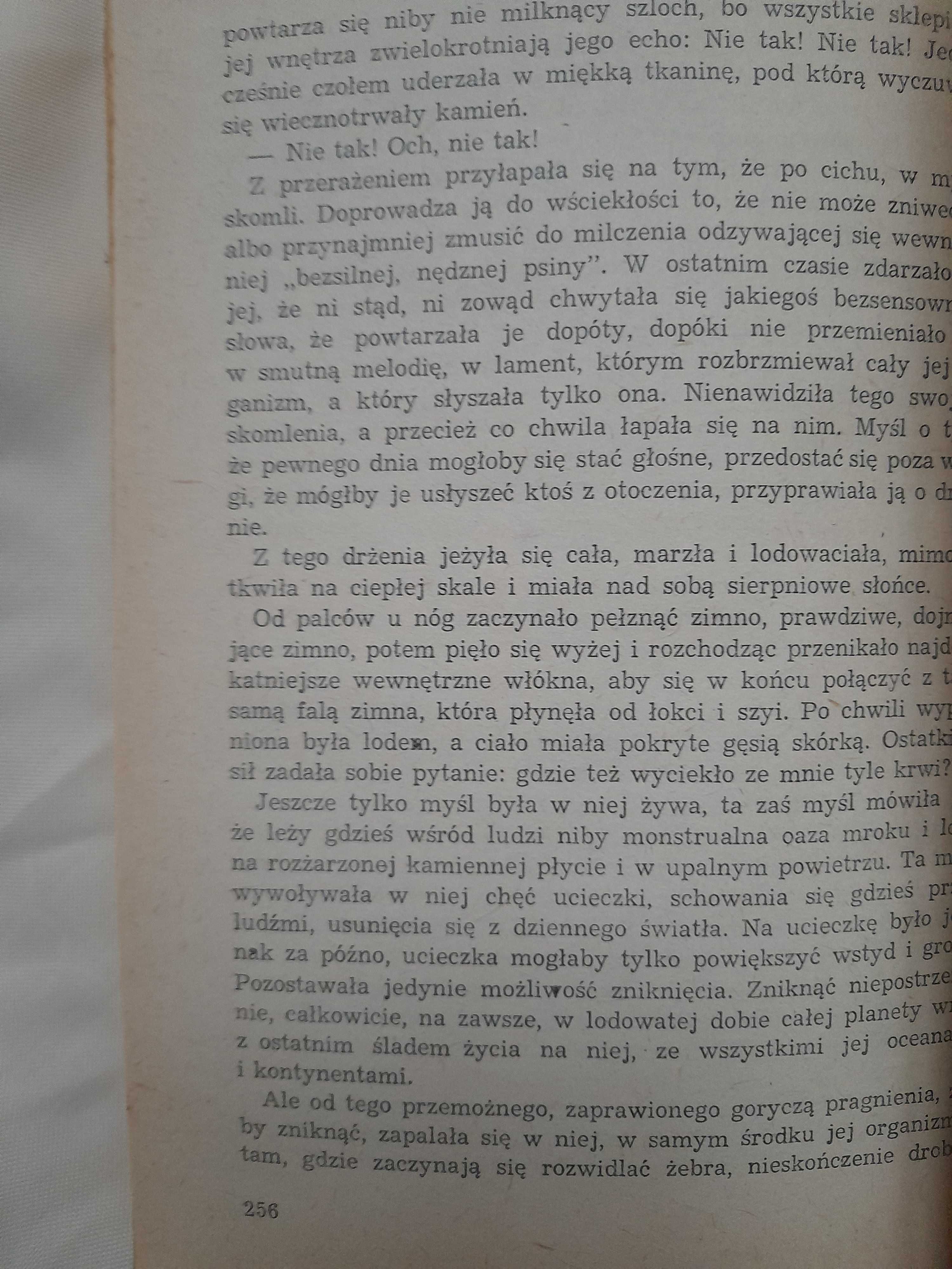 Wakacje na południu Ivo Andrić