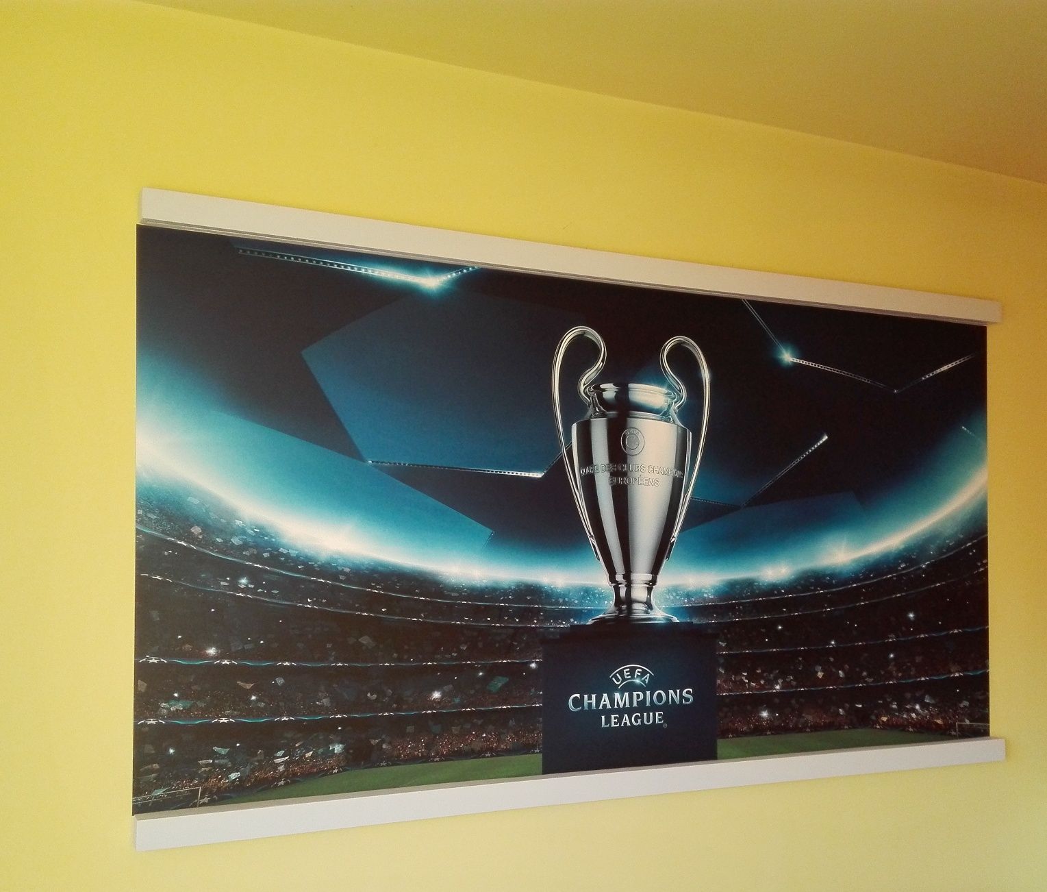 Tapeta na flizelinie do pokoju dziecka Liga mistrzów puchar