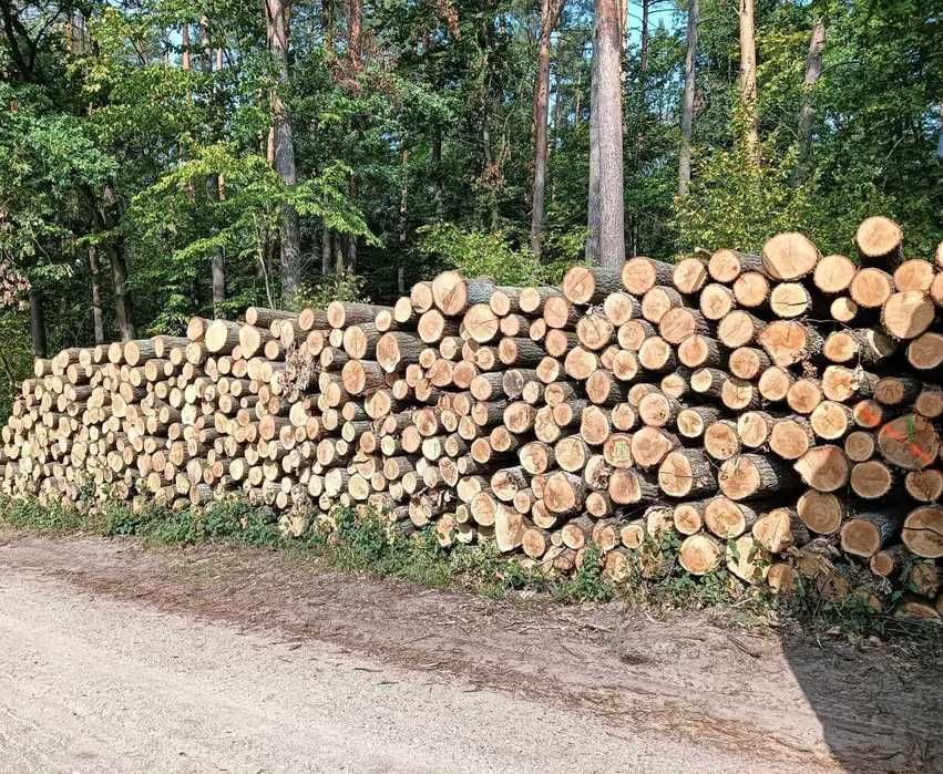Drewno opałowe sosna, olcha, brzoza, dąb Łaskarzew
