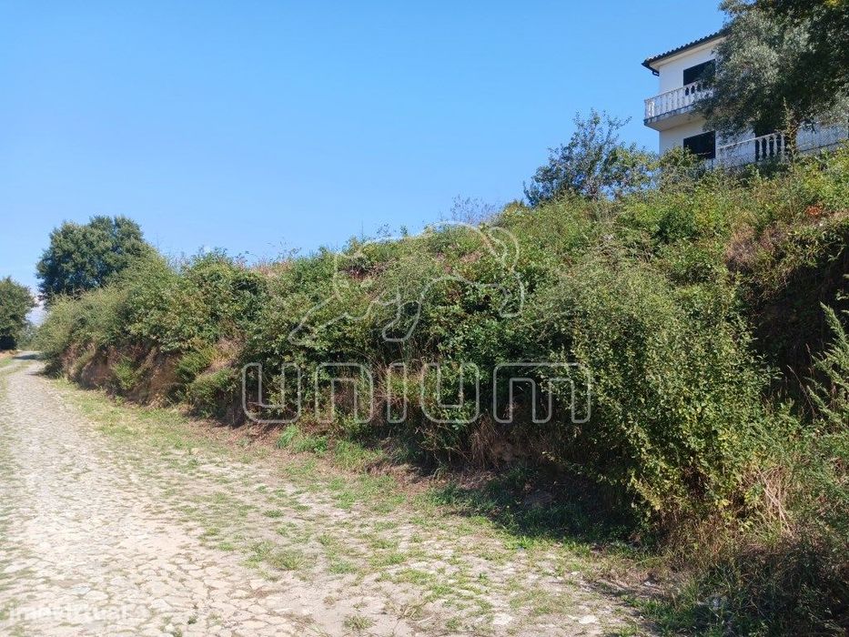 Oportunidade para Investidores