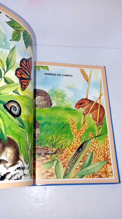 Dicionário de Imagens dos Animais