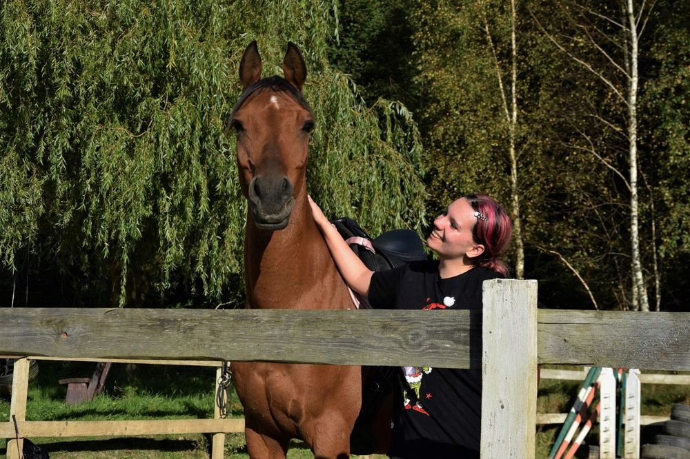 Wydzierżawię cudownego walaszka