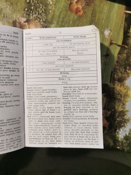 Słownik Polsko-angielski