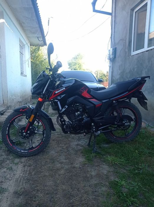 Mustang MT250-9R