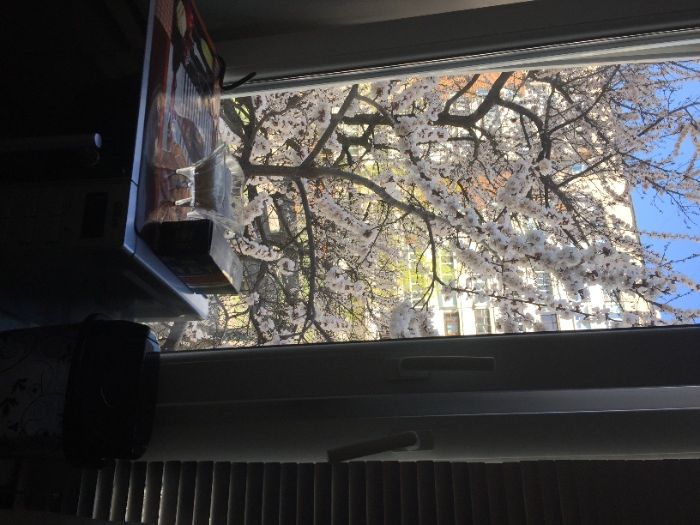 Драйзера (2 этаж, газ) - звёздное небо + есть с Джакузи + ПОЧАСОВО!