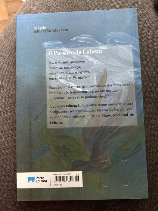 O passaro da  cabeca