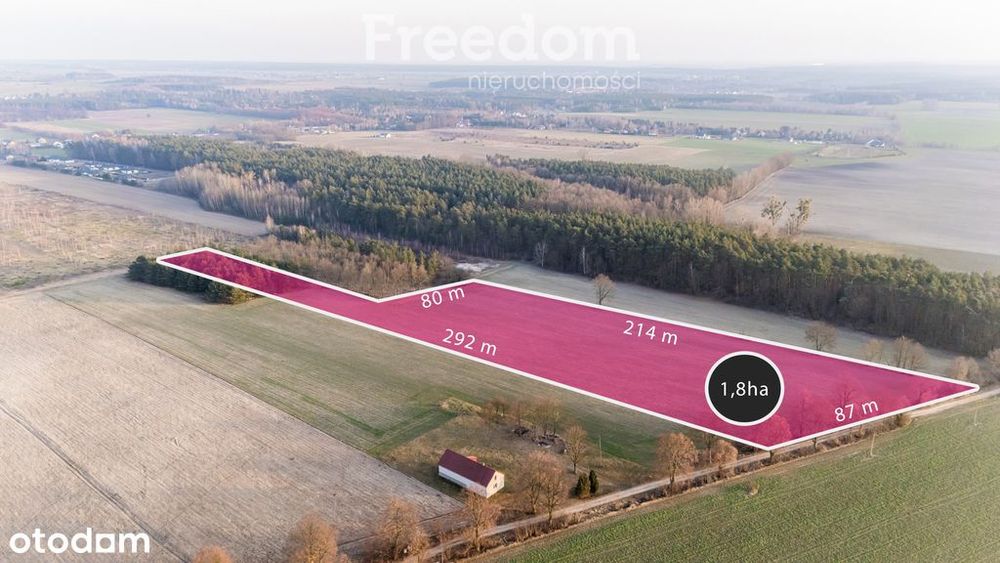 Działka budowlana 1,8 ha przy polu golfowym