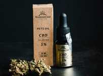 Olejek Konopny „PETS OIL CBD” 5% - dla zwierząt