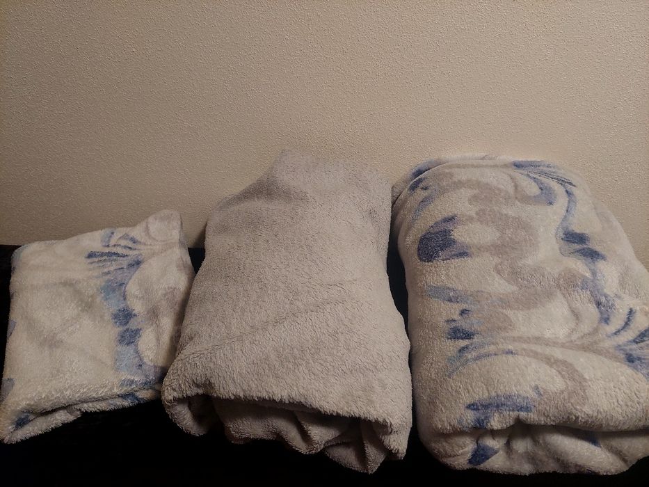 Lençóis Coralina Solteiro CTT grátis