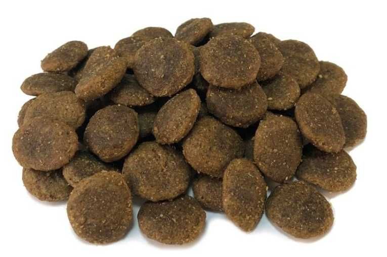 Karma dla psa bez glutenu Arquivet GRAIN FREE Indyk z warzywami 12 kg