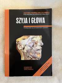 Anatomia prawidłowa człowieka- Szyja i Głowa- Skawina