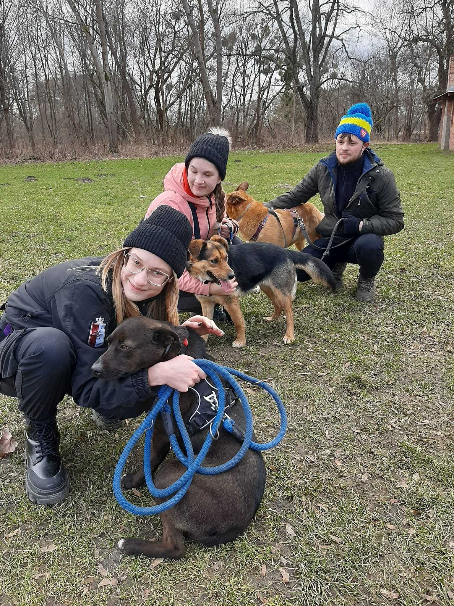 STORMI- 1,5 roku, 14kg, niebieskie plamki na oczach -mix husky. [FILM}