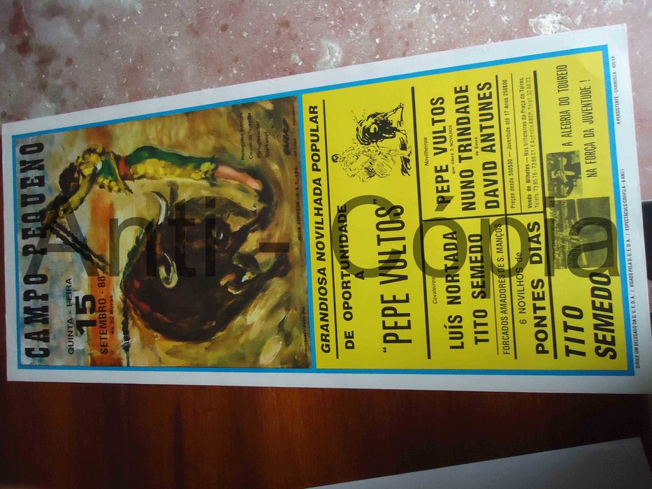 Toiros - Cartazes de Montra 2