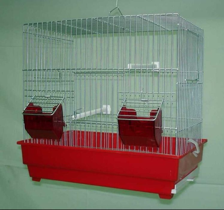 Roseicollis/Agraponis domésticados