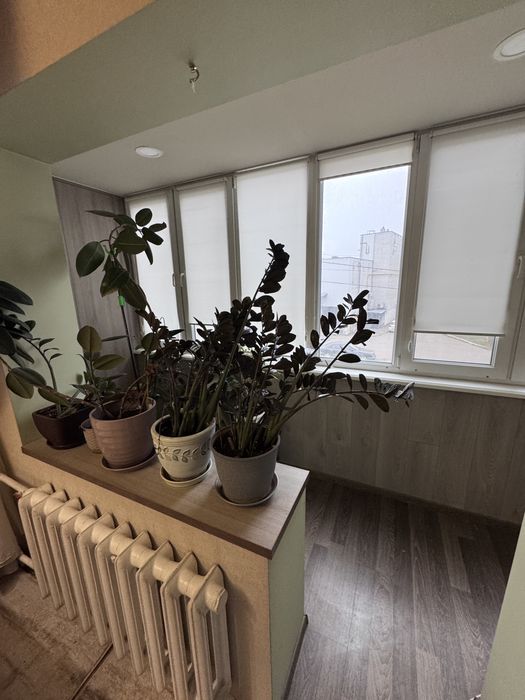 Здам 4-к квартиру з ремонтом Фрунзенський Донецьке шосе