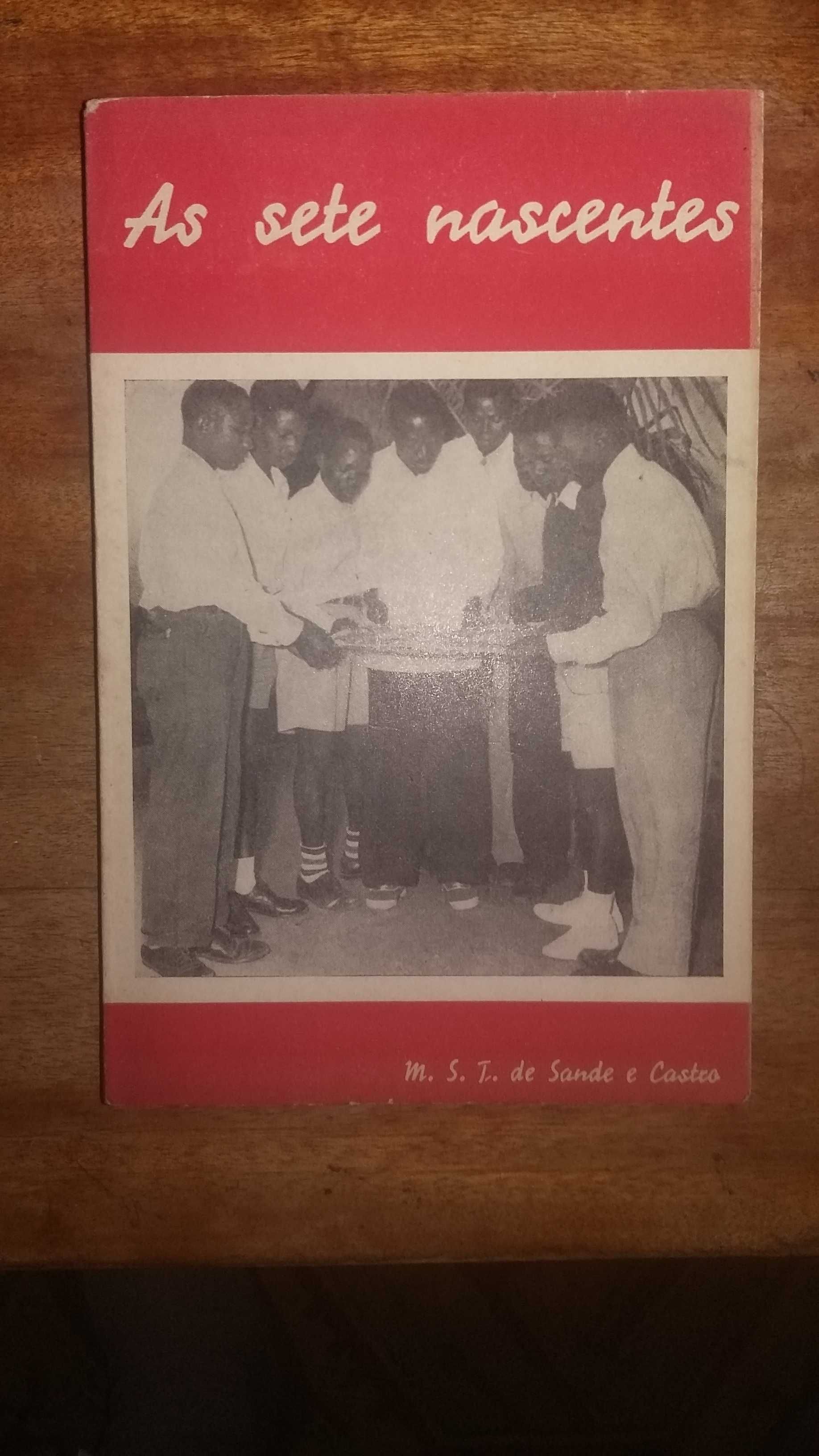 As Sete Nascentes, de M.S.T de Sande e Castro