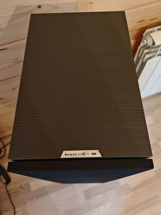 Kolumny podłogowe STX Quant 300