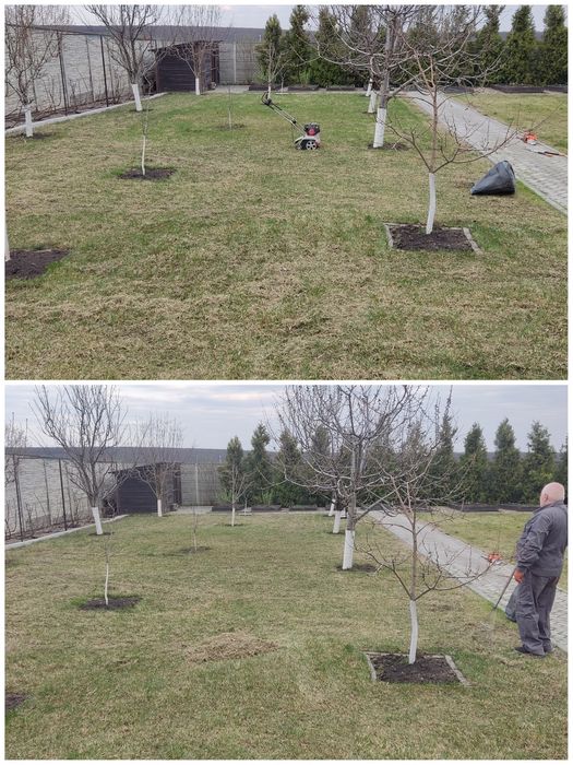 Услуги садовника