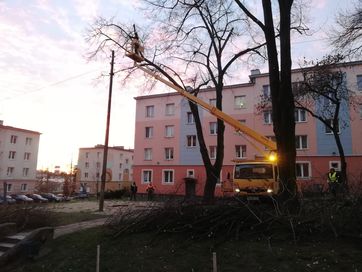 Wycinka drzew, czyszczenie działek, rębakowanie gałęzi, frezowanie pni