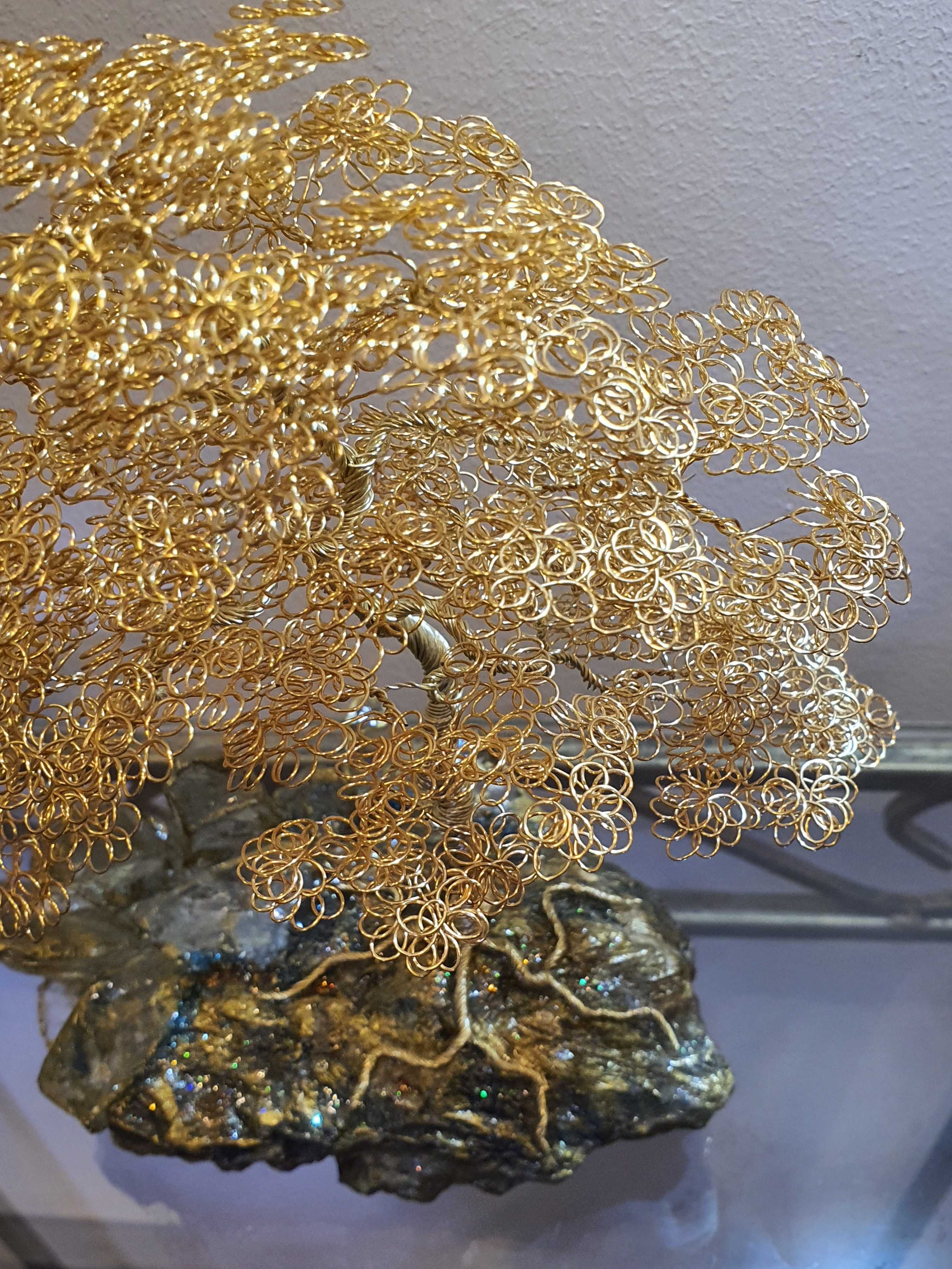 Drzewko szczęścia, bonsai