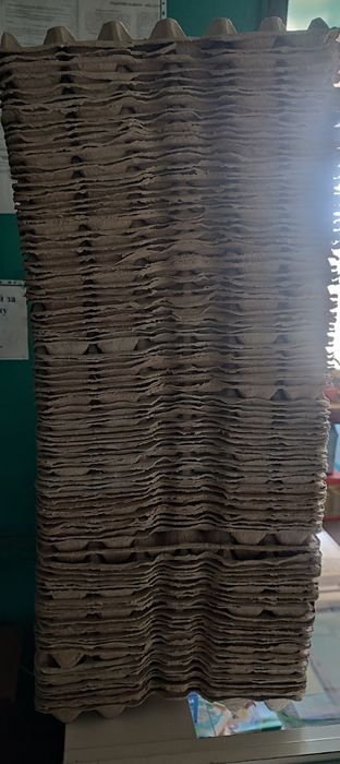 Котонні лотки для яєць.