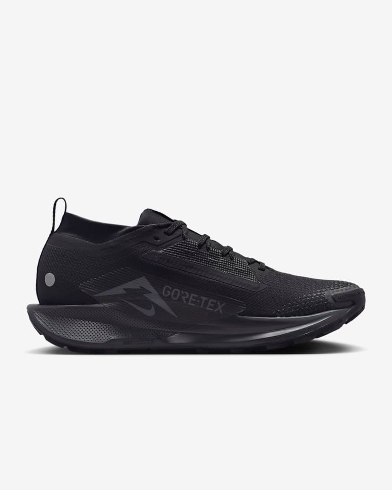 Nike Pegasus Trail 5 Gore-Tex ( FQ0908-002)