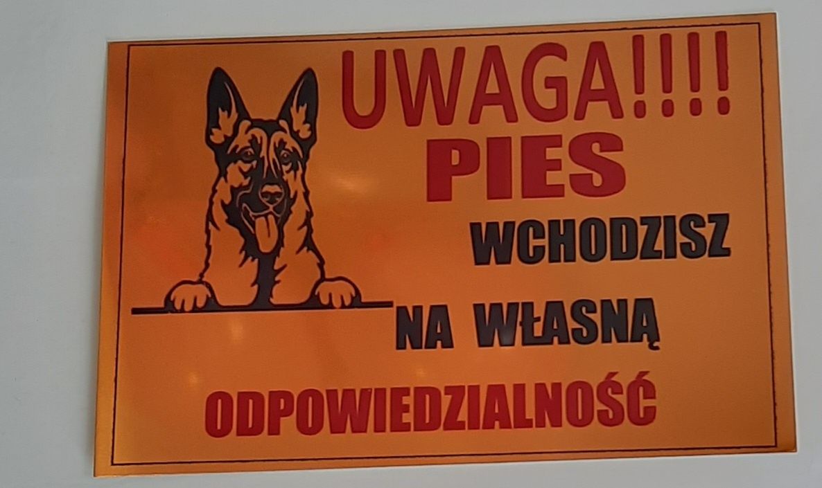 Tabliczka ostrzegawcza UWAGA PIES