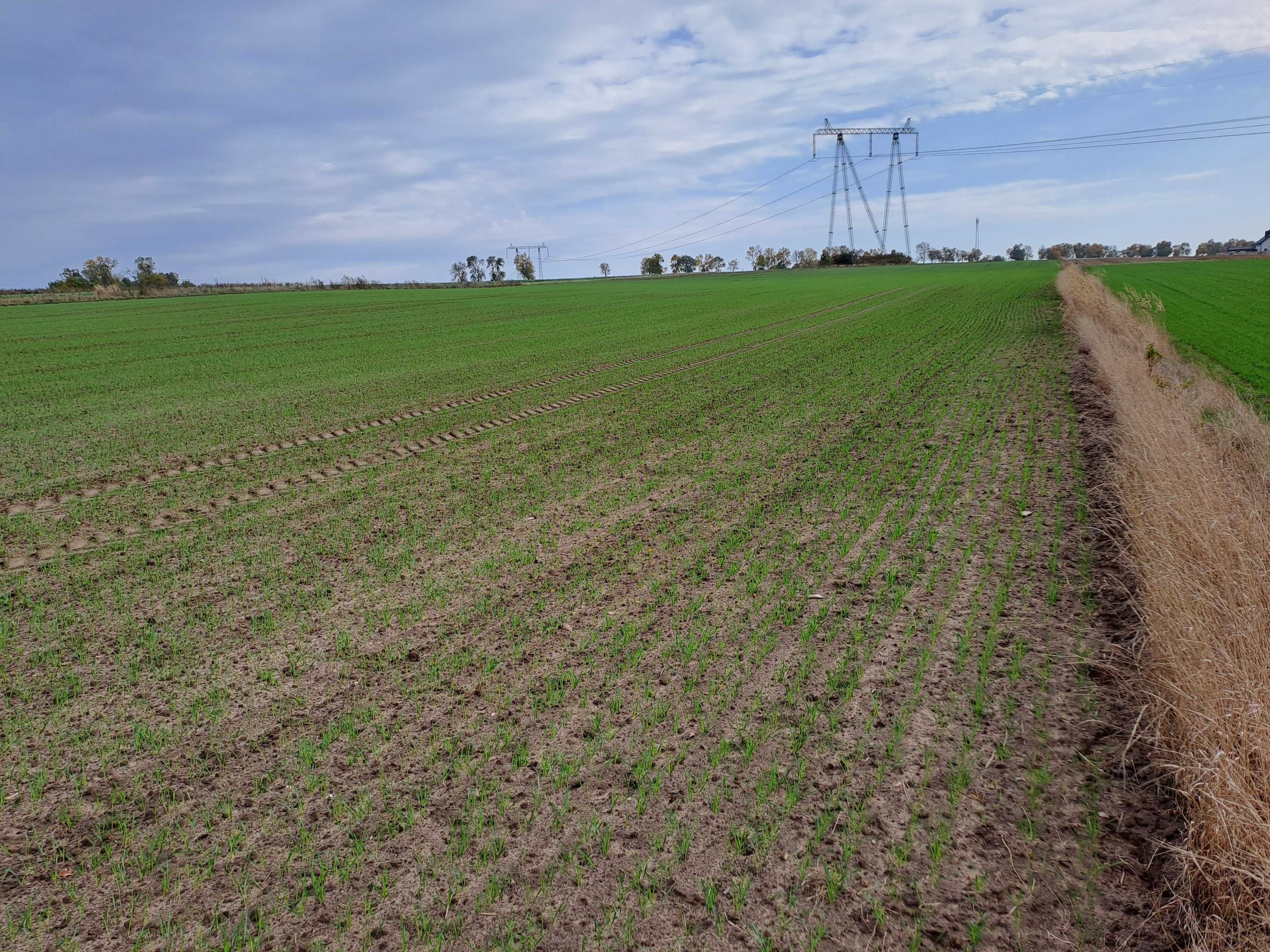 Działka  rolno-budowlana