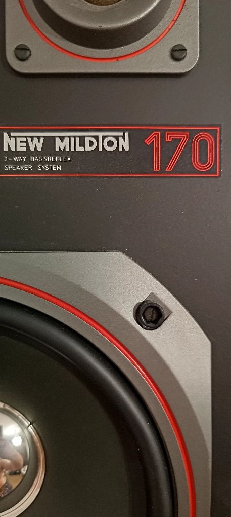 Głośniki New Mildton 170