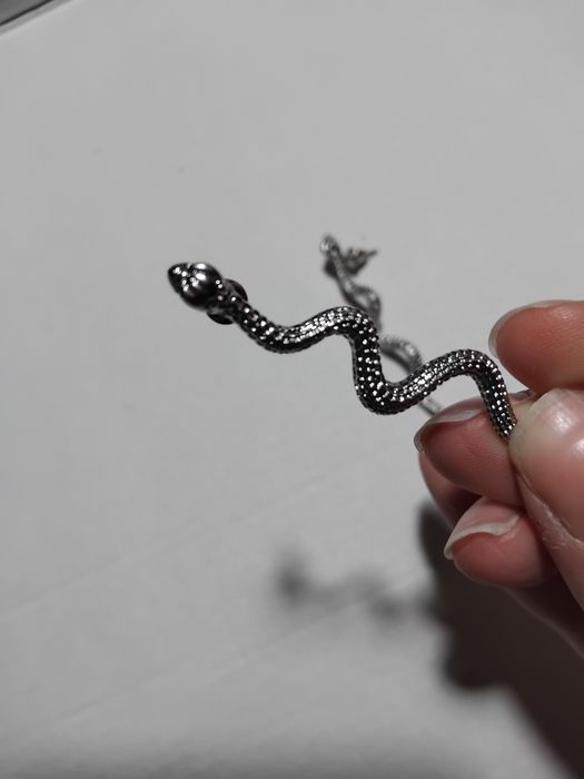 Brincos de cobra prateados