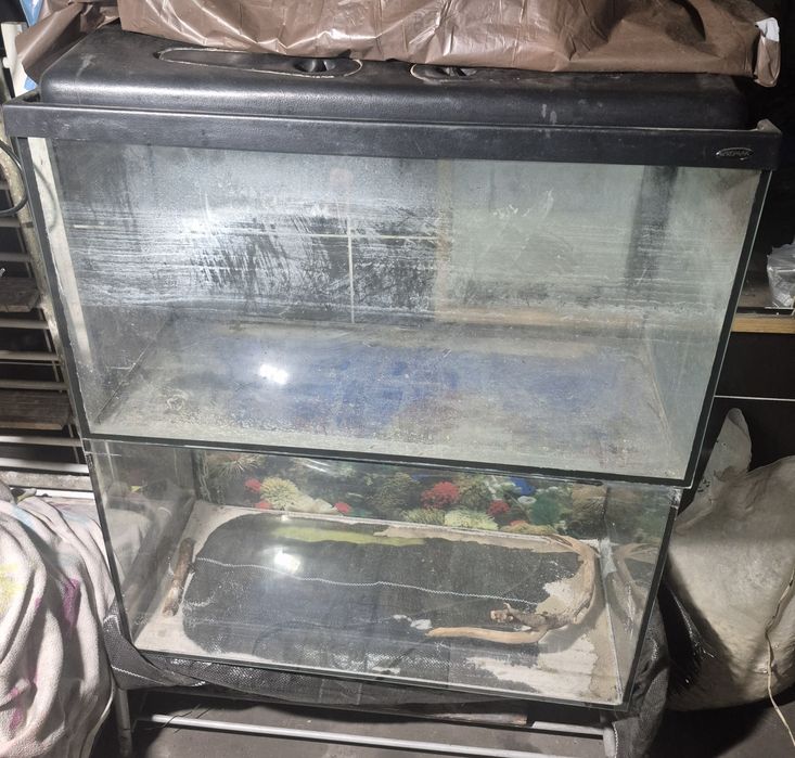 2x akwarium około 180l