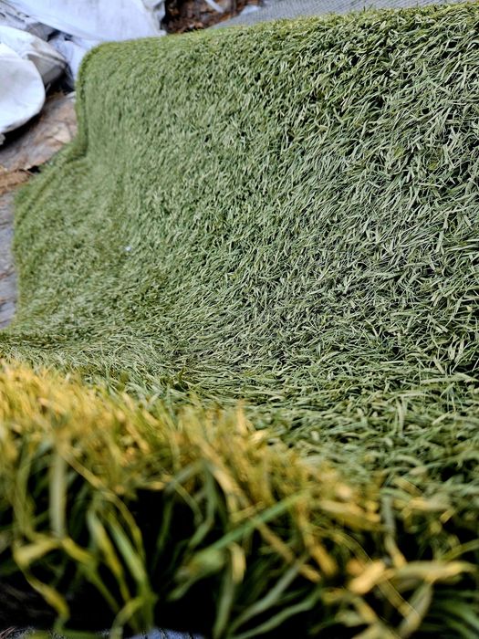 Relva Sintética Profissional Usada - Qualidade e  Económica